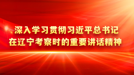深入学习贯彻习近平总书记在辽宁考察时的重要讲话精神